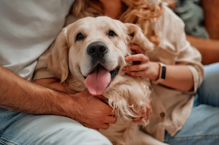 cachorro se coçando e se mordendo remédio