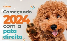 pet place cobasi banner divulgação