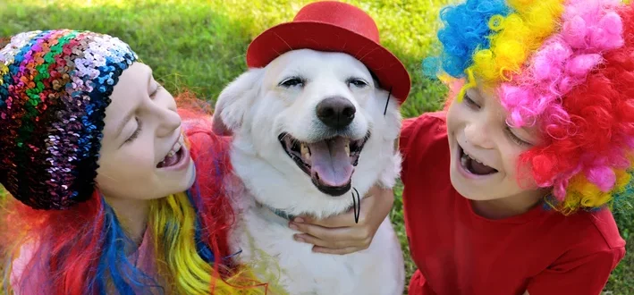 Bloco Bom para Cachorro 2024: venha para carnaval Pet Friendly da Cobasi 5