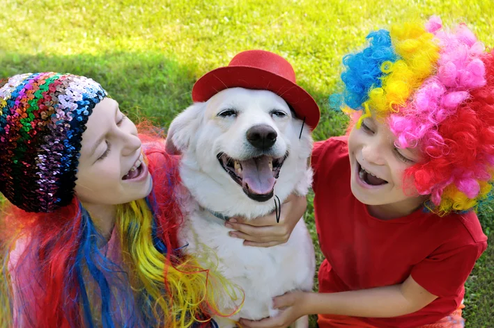 bloco bom para cachorro cobasi capa