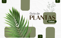 guia de plantas cobasi capa