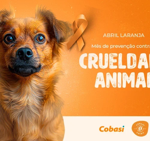 abril laranja