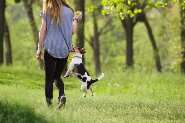 cachorro-hiperativo-passeando com a tutora