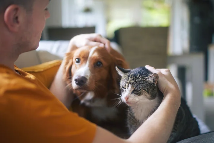 homem cuidando de cachorro e gato