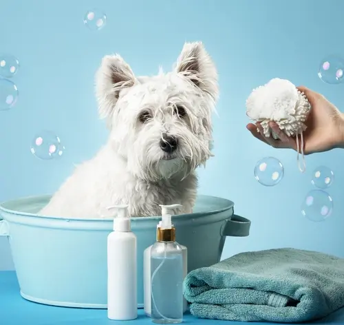 melhores shampoos para cachorro