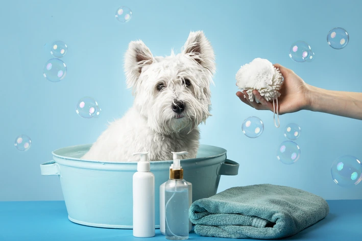 melhores shampoos para cachorro
