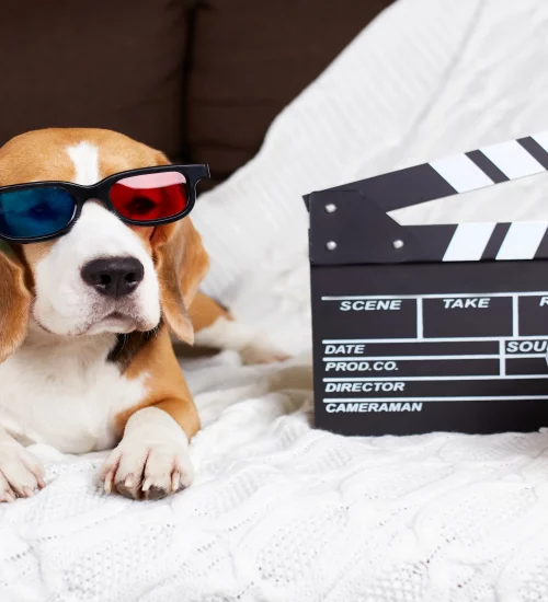 Estreia Homem Cão -  North Shopping Maracanau