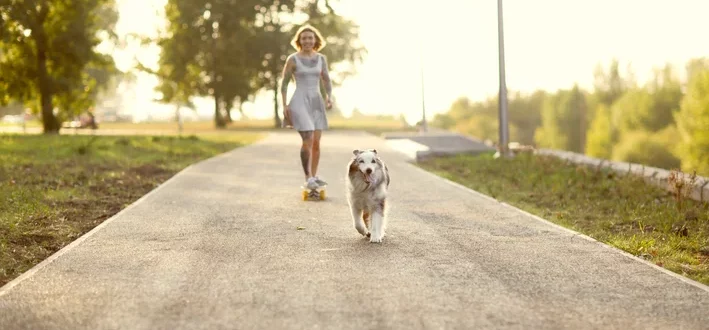 cachorro fujão com a tutora no parque