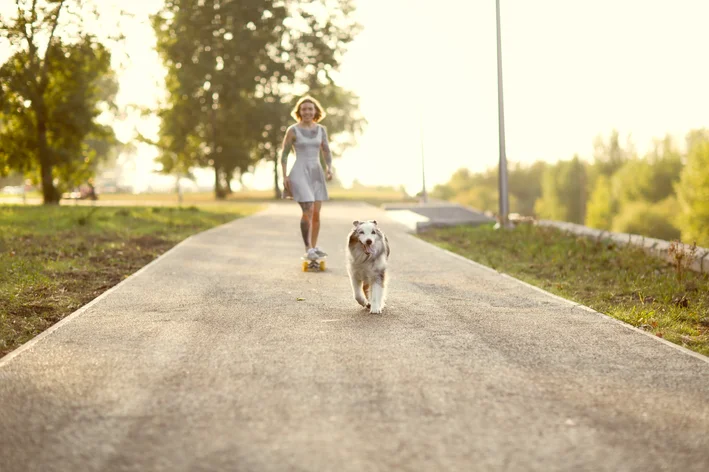 cachorro fujão com a tutora no parque