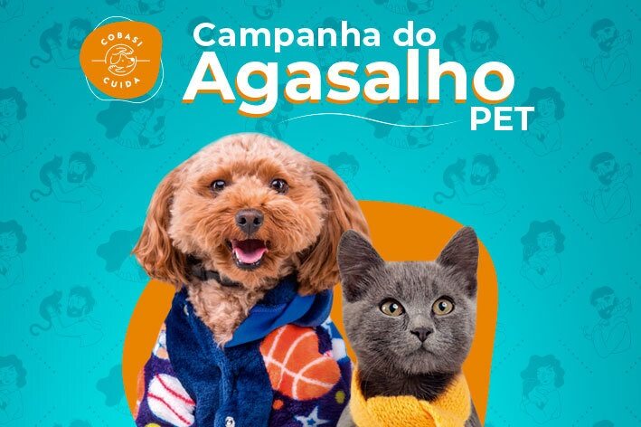 campanha do agasalho pet gato e cão 2024