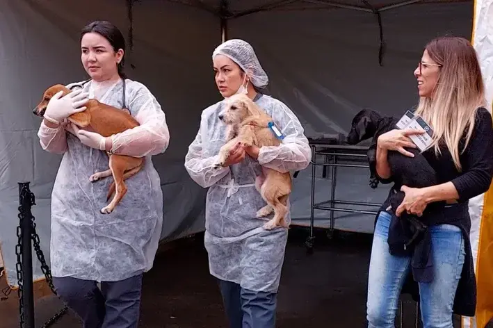 veterinários cobasi e ampara animal participando do mutirão de castração