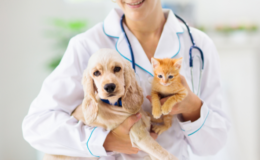 quando-levar-pet-no-veterinario (1)