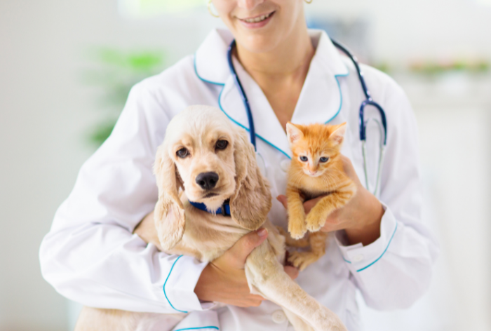 quando-levar-pet-no-veterinario (1)