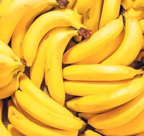 papagaio pode comer banana