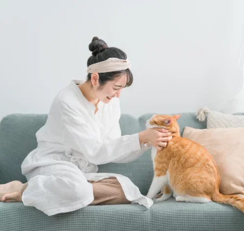 nomes coreano para gatos