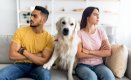 pets não devem ser presentes de dia dos namorados