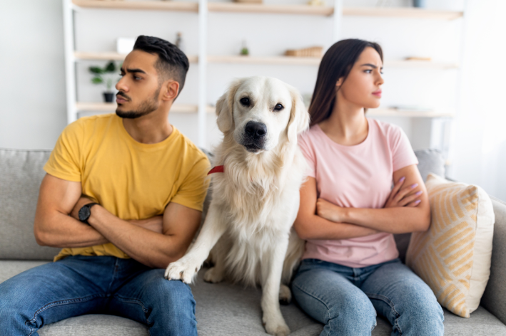 pets não devem ser presentes de dia dos namorados