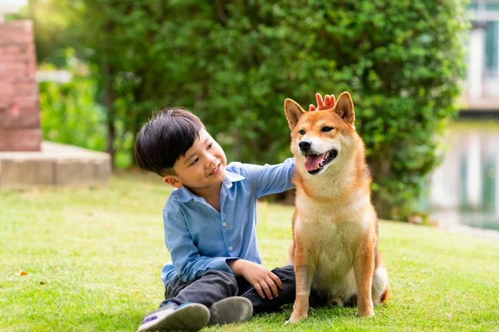 como escolher nome coreano para cachorro