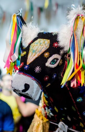 animais do folclore brasileiro