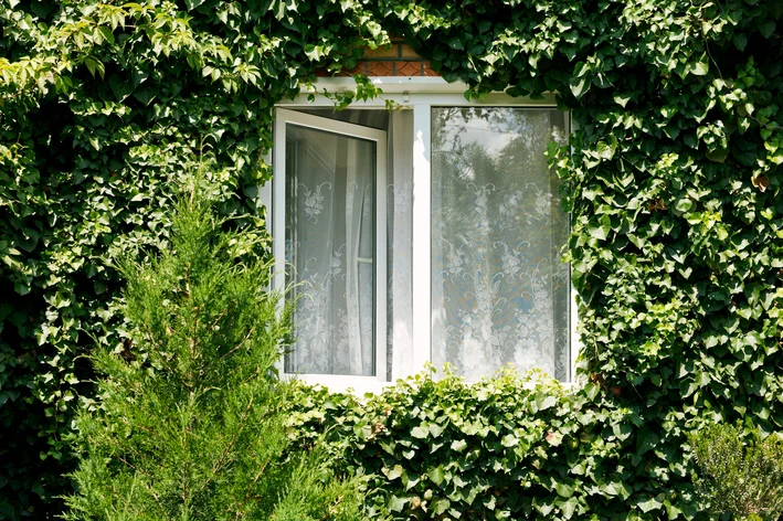 fachada da casa coberta com planta