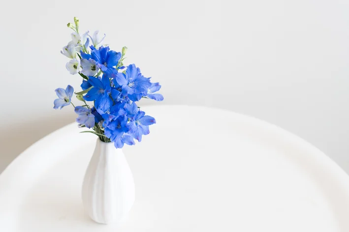 flor de julho no vaso em cima de uma mesa de centro