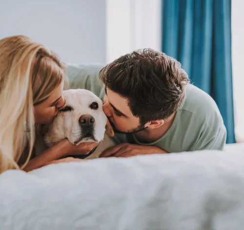 casal compartilhando a guarda do cachorro