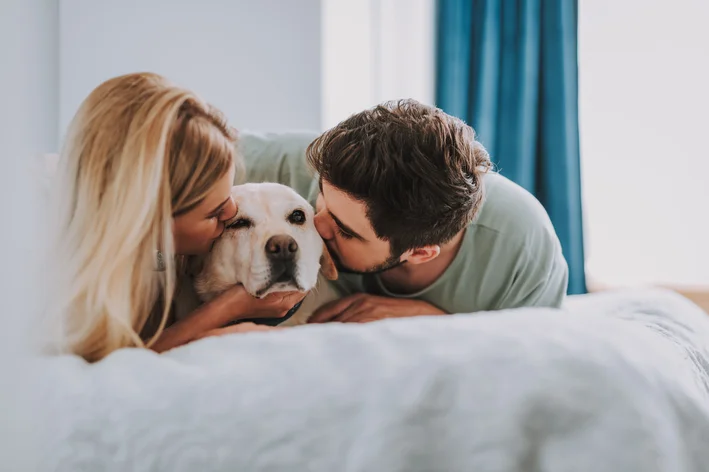 casal compartilhando a guarda do cachorro