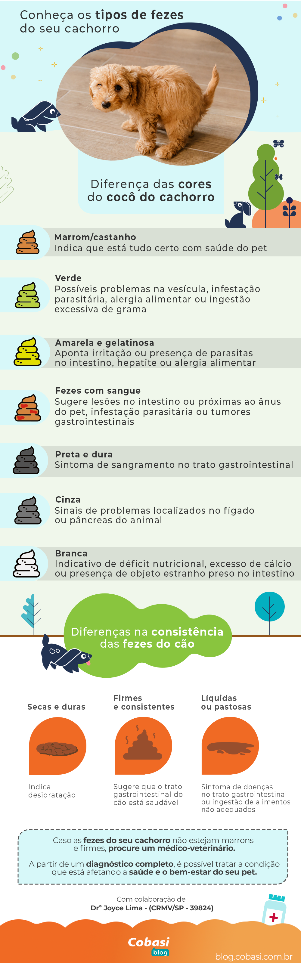 infográfico com tipo de fezes de cachorro