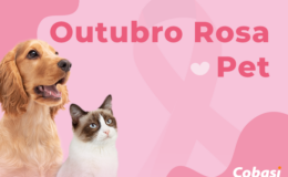 cachorro e gato em uma foto para o outubro rosa pet