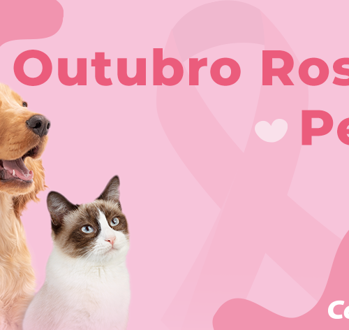 cachorro e gato em uma foto para o outubro rosa pet