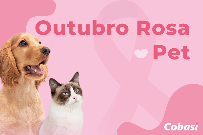 cachorro e gato em uma foto para o outubro rosa pet