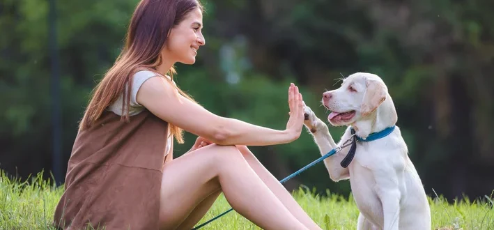 tutor veterano com seu cachorro no parque