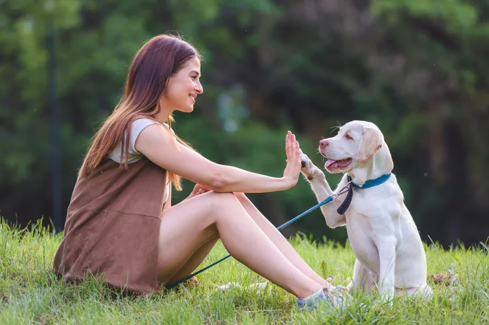 tutor veterano com seu cachorro no parque
