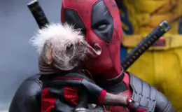 cachorro do deadpool