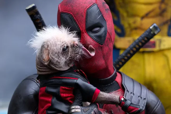 cachorro do deadpool