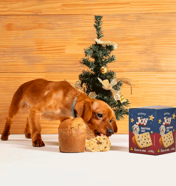 Panettone-Joy-para-Caes-Flocos-de-Carne-ambientado-comendo