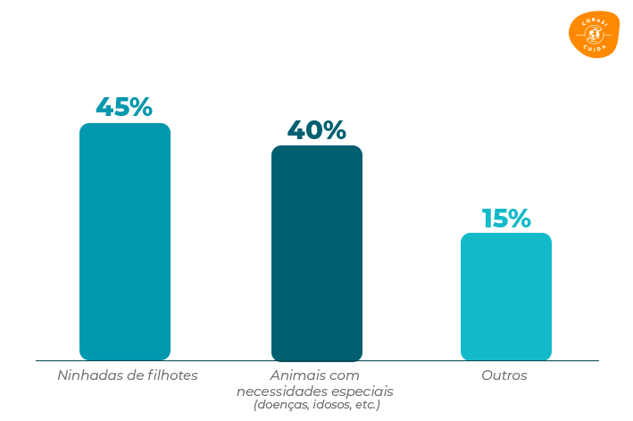 infográfico com as condições em que os pets são regatados