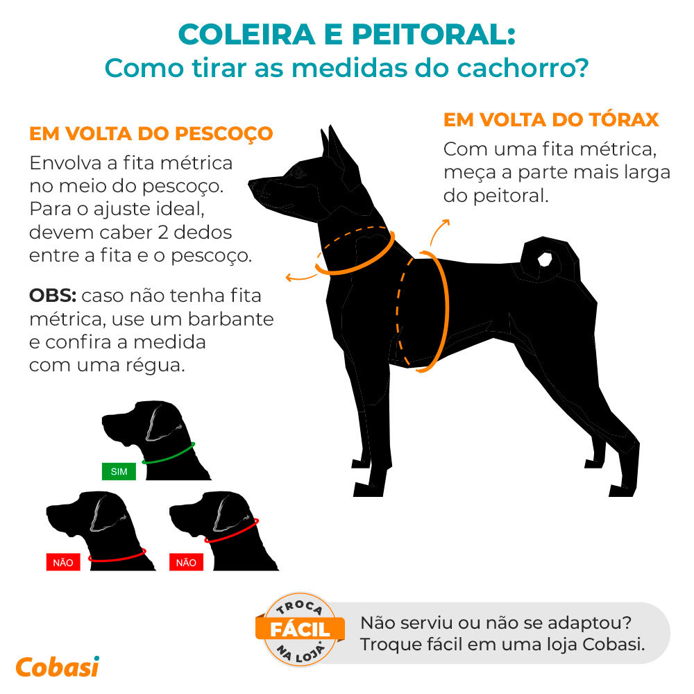 infofráfico como medir cachorro para comprar coleira