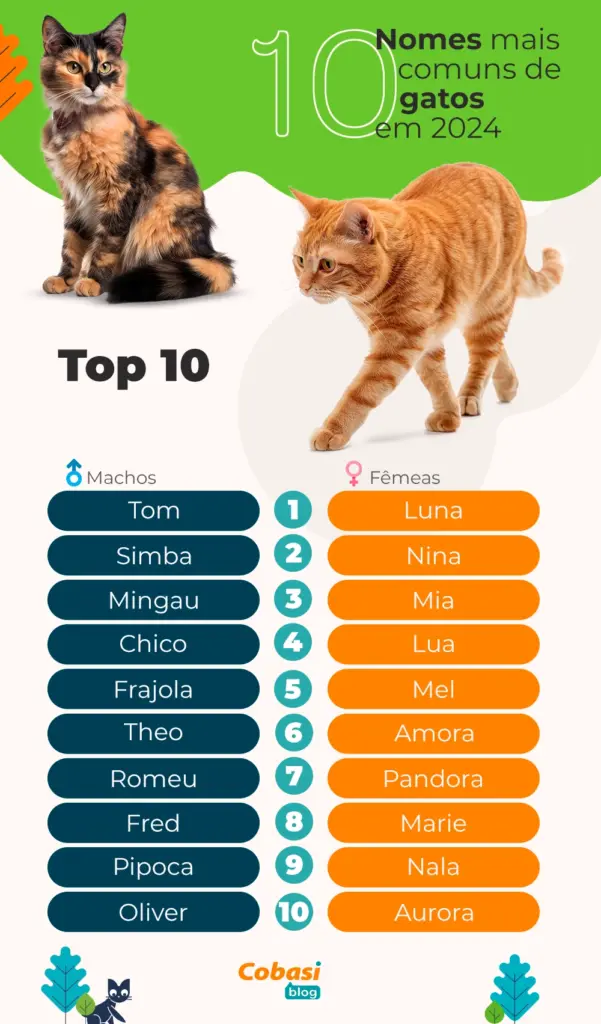 Nomes populares de gatos fêmeas e machos em 2024