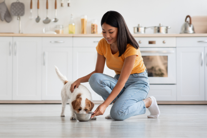 palmito cachorro pode comer