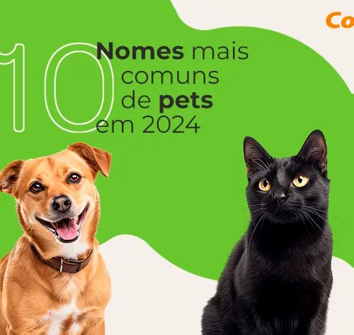 Conheça os nomes e raças de animais mais comuns em 2024