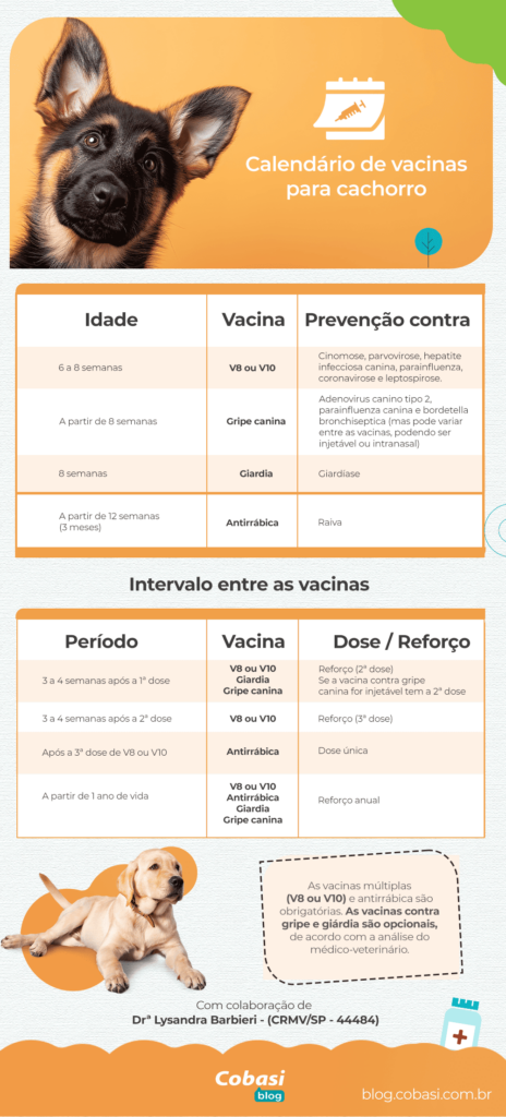 calendário de vacinas para cachorro