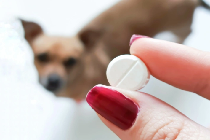 tutora segurando um remédio e o cachorro olhando