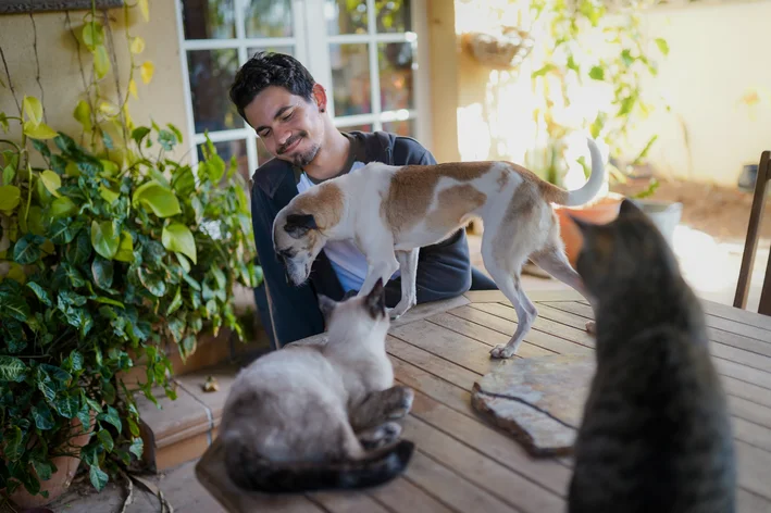 Tutor brincando com seus animais de estimação