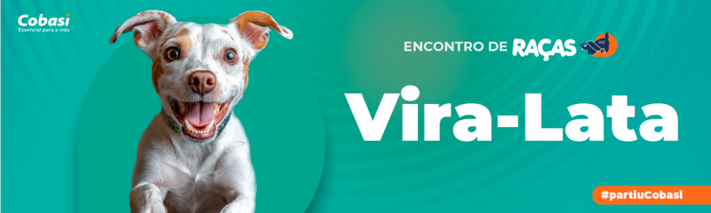 Encontro de Goldens - Parque Ecológico de Itaquaquecetuba 1