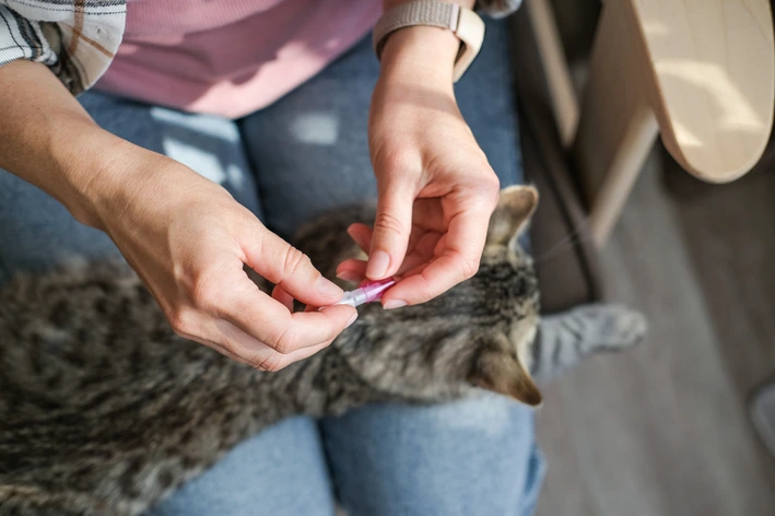 melhor antipulgas topico para gatos