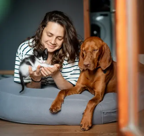 capa quiz mãe de pet