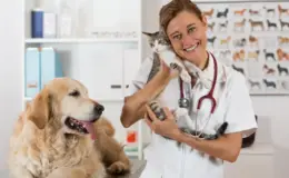 cachorro e gato no veterinário
