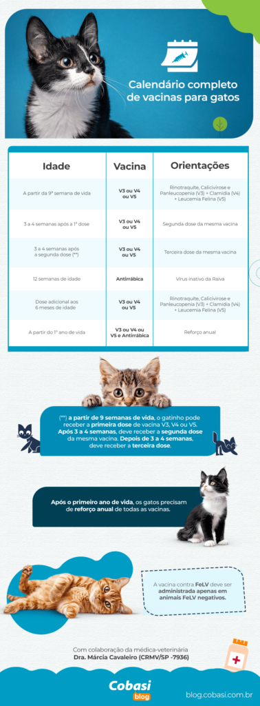 calendário completo de vacinação de gato