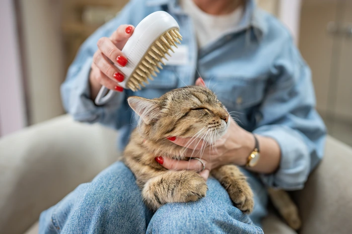 Conheça os sintomas, tratamentos e prevenção para bola de pelos em gatos Gato Com Bola De Pelos